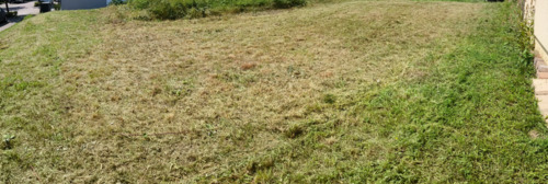 Foto - Grundstücke zu verpachten als Garten, Acker oder Holzlagerplatz