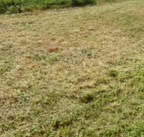 Grundstücke zu verpachten als Garten, Acker oder Holzlagerplatz - Bad Schönborn