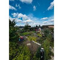 Gepflegter Kleingarten (Pachtgarten) abzugeben - Zwickau Auerbach