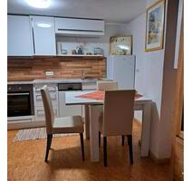 Ferienwohnung Monteure Wochenendheimfahrer Appartement Häuschen - Großostheim