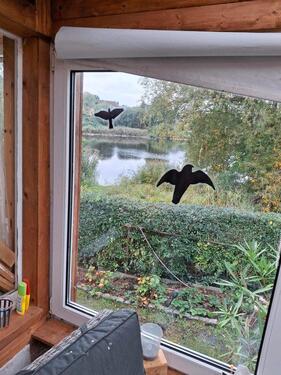 Foto - Garten mit Laube in Ostseenähe.