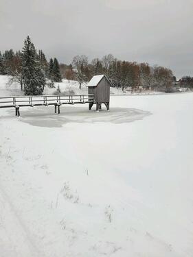 Foto - LAST MINUTE Ferienwohnung Harz Rodeln Skiurlaub