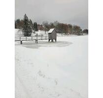 LAST MINUTE Ferienwohnung Harz Rodeln Skiurlaub - Goslar OS Hahnenklee-Bockswiese