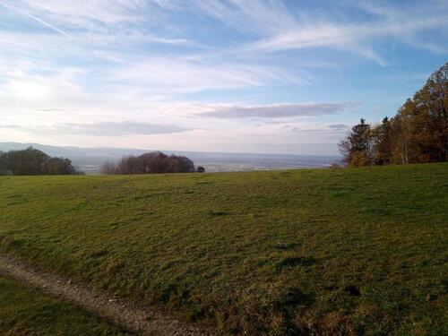 Foto - Grundstück - 1.250,00 EUR Kaltmiete, ca.  0,00 m²