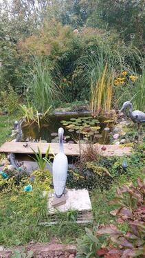Foto - Garten zu pacht - 1.000,00 EUR Kaltmiete, ca.  0,00 m²