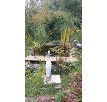 Garten zu pacht - 1.100,00 EUR Kaltmiete, ca.  0,00 m² in Neubrandenburg (PLZ: 17034) Datzeberg