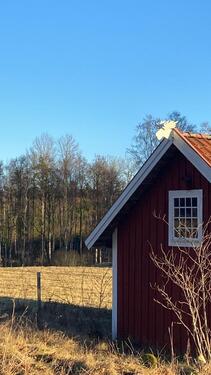 Foto - andere zur Miete in Grünendeich