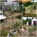 Foto - Garten zu verpachten - 100,00&nbsp;EUR Kaltmiete, ca.&nbsp; 0,00&nbsp;m&sup2;