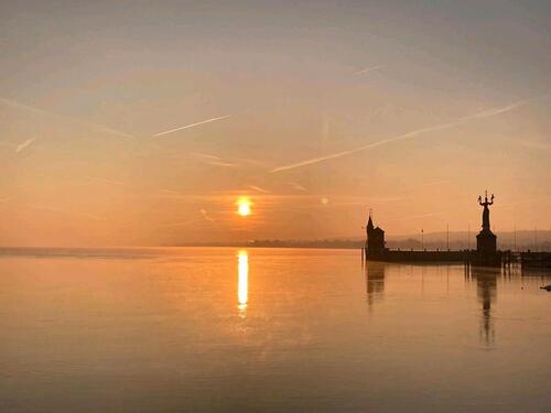 Foto - schöne helle dhh in bohlingen am bodensee zu verkaufen