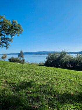 Foto - 5 Zimmer Doppelhaushälfte zum Kaufen in Meckenbeuren