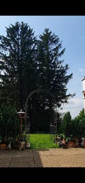 Foto - 1.5 Zimmer Etagenwohnung zum Kaufen in Grebenhain