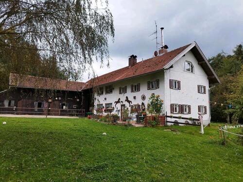 Foto - DG Wohnung im Grünen - 500,00&nbsp;EUR Kaltmiete, ca.&nbsp; 50,00&nbsp;m&sup2;