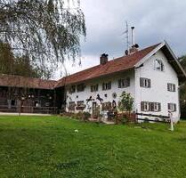 DG Wohnung im Grünen - 500,00 EUR Kaltmiete, ca. 50,00 m² in Triftern (PLZ: 84371) DG Wohnung im Grünen - 500,00 EUR Kaltmiete, ca. 50,00 m² in Triftern (PLZ: 84371)