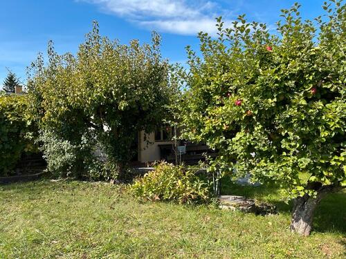 Foto - Grundstück zur Miete in Schirgiswalde-Kirschau