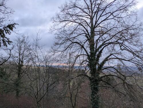 Foto - Grundst&uuml;ck in Heimsheim