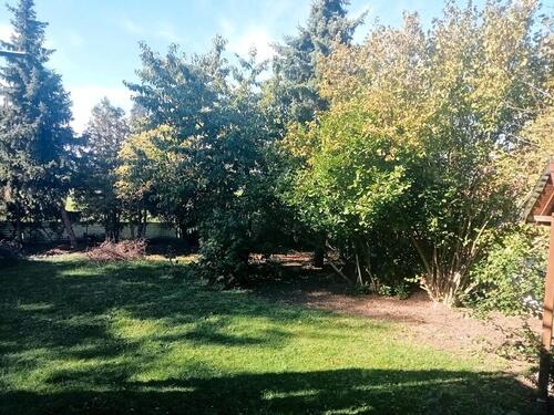 Foto - Chance: Sonnige 4-Zimmerwohnung in Heilsbronn frei geworden.