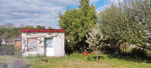 Foto - Gartenhaus und Garten in Tessin:)