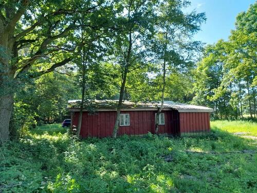 Foto - Einfamilienhaus zum Kaufen in Drelsdorf