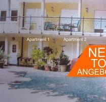 Möbliertes Single-Pendler-Apartment, Pantry-Küche, Waschmaschine - Geisenheim