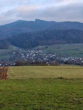 Foto - 3 Zimmer Etagenwohnung zur Miete in Freiburg im Breisgau
