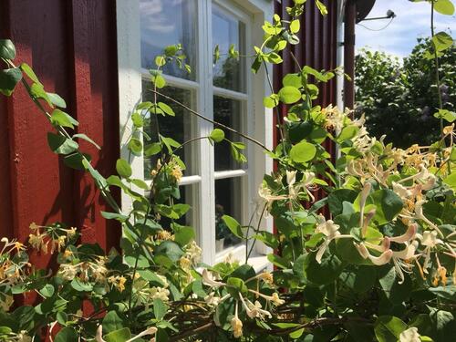 Foto - andere in Göttingen zur Miete