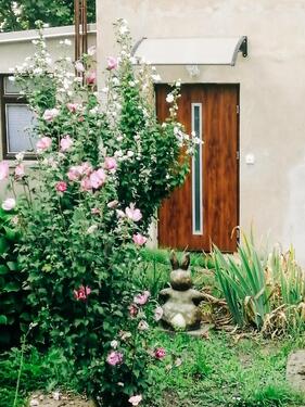 Foto - Ferienhaus 'Alte Schäferei' in Dresden-Loschwitz