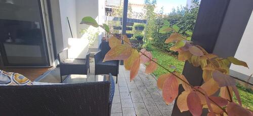 Foto - 2 Zimmer Etagenwohnung zur Miete in Regensburg