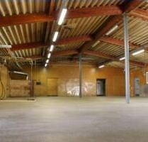 Lagerfläche in Halle ab 50qm kurzfristig monatsweise zu vermieten - Radolfzell am Bodensee