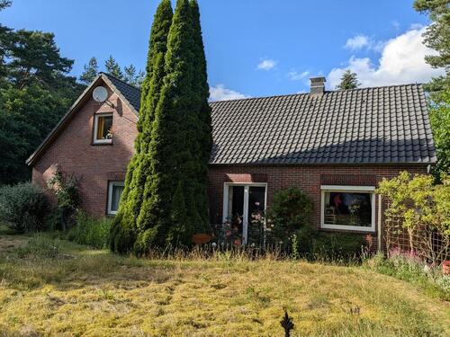 Foto - Traumhaus mitten im Waldgebiet Hollesand, Uplengen