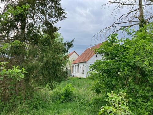 Foto - Einfamilienhaus in Osterburg (Altmark) zum Kaufen