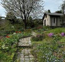 Garten 400m2 - 1.000,00&nbsp;EUR Kaltmiete, ca.&nbsp; 0,00&nbsp;m&sup2; in Chemnitz (PLZ: 09114) Borna-Heinersdorf