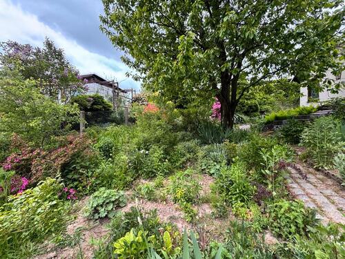 Foto - Grundst&uuml;ck zur Miete in Chemnitz