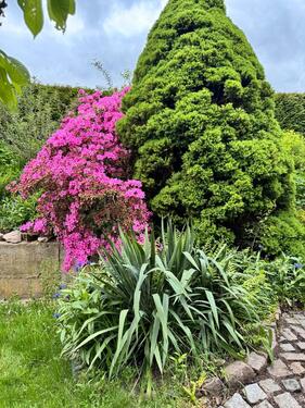 Foto - Grundst&uuml;ck in Chemnitz