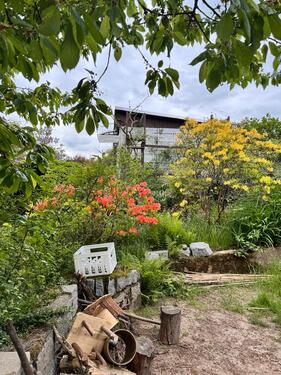 Foto - Grundst&uuml;ck in Chemnitz zur Miete