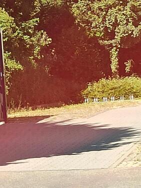 Foto - PKW Stellplatz - 50,00&nbsp;EUR Miete,