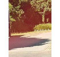 PKW Stellplatz - 50,00&nbsp;EUR Miete, in Frankfurt am Main (PLZ: 60437) Bonames