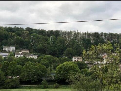 Foto - GrundstückBaugrundstück in Bad Karlshaien in bester Lage