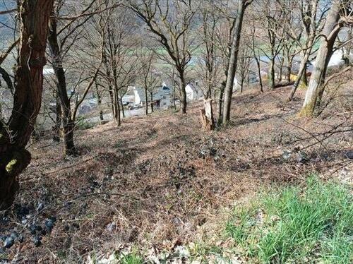 Foto - Grundst&uuml;ck zur Miete in Bad Karlshafen