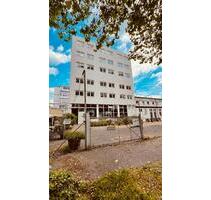 240 m2 direkt am Rhein Büro - 1.920,00&nbsp;EUR Kaltmiete, ca.&nbsp; 6,00&nbsp;m&sup2; in Wiesbaden (PLZ: 65203) Biebrich