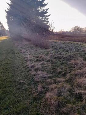Foto - Grundstück in Annaburg
