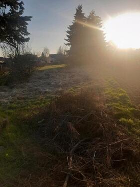 Foto - Grundstück in Annaburg zur Miete