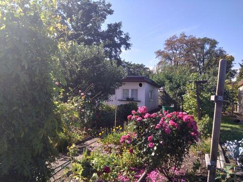 Foto - sehr gepflegter Kleingarten abzugeben