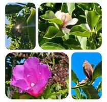 Kleingarten in Delitzsch abzugeben