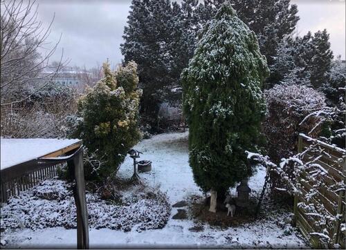 Foto - 5 Zimmer Reihenhaus in Duisburg