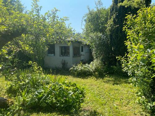 Foto - Einfamilienhaus in Apolda zum Kaufen