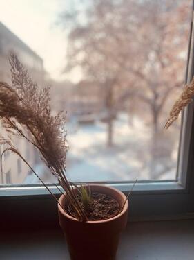 Foto - schöne 3-Raum Wohnung mit Balkon und Fahrstuhl in Buckau