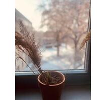 schöne 3-Raum Wohnung mit Balkon und Fahrstuhl in Buckau - Magdeburg