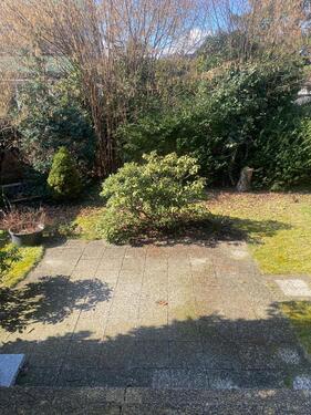 Foto - 2.5 Zimmer Etagenwohnung in Berlin