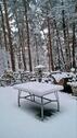 Foto - 1 Zimmer Bungalow zum Kaufen in Bielefeld