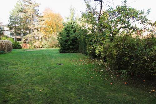 Foto - 2 Zimmer Hochparterre zum Kaufen in Berlin